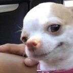 Onlyfans leaked bunnyxx 

 profile picture