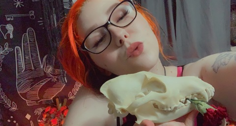 The Booty Queen 👑 @busybumblebees cover picture