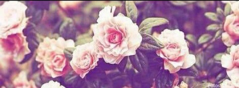 ᧁꪖꪶꪖ 🔥 @bygissela cover picture