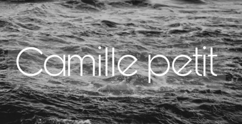 camille @camille_petit cover picture