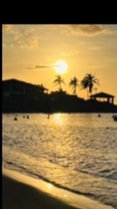 Canelavibe @canelavibe cover picture
