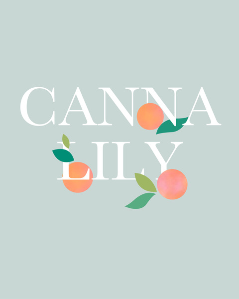 Canna Lily @cannalily cover picture