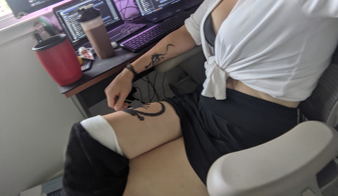CassieTS @cassie.ts cover picture