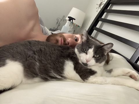 Cat Daddy @catbaddy cover picture