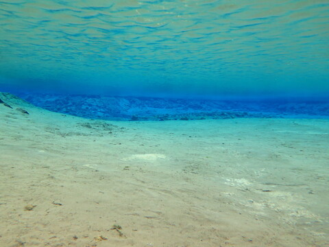 Header of chansen86