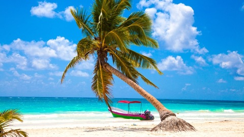 Poke e mon @charmingislandgirl cover picture