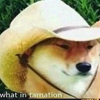 Free access to @cheekbeater Leak OnlyFans 

 profile picture