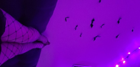 CherryFox @cherryfox86 cover picture