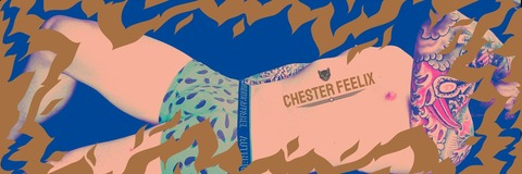 ChesterFeelix @chesterfeelix cover picture