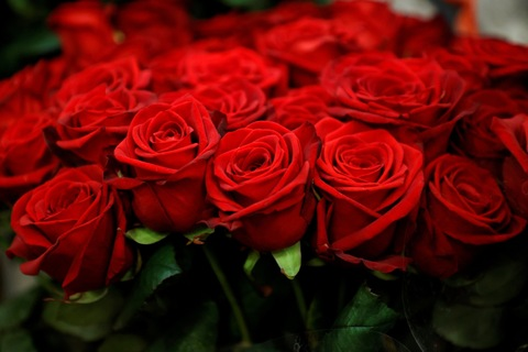 ChrisJanaes @chrisjanaes cover picture