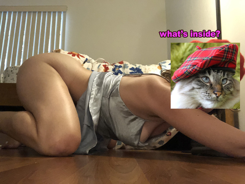 Cierra @cierradad1 cover picture