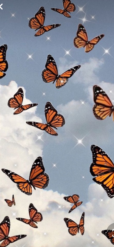 Karen S. @cin.derella cover picture
