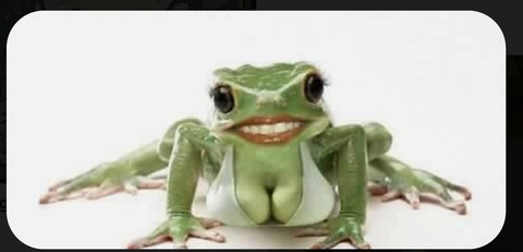 AshleyLaur @cincodemama cover picture