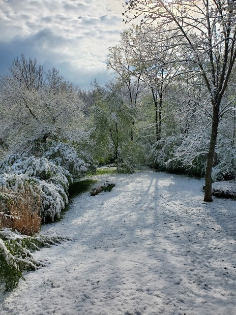 (K2)NastyNati @cincyky cover picture