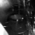 Free access to (@cl0wn) Leaks OnlyFans 

 profile picture