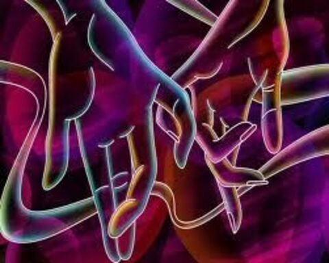 CloeyVidmar @cloeyvidmar cover picture