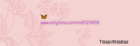 เจ้าแมว @cn0123456 cover picture