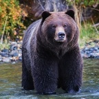 coloradonative12 OnlyFans Leaks 

 profile picture