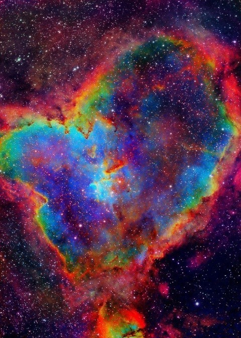 Celeste @cometflower cover picture