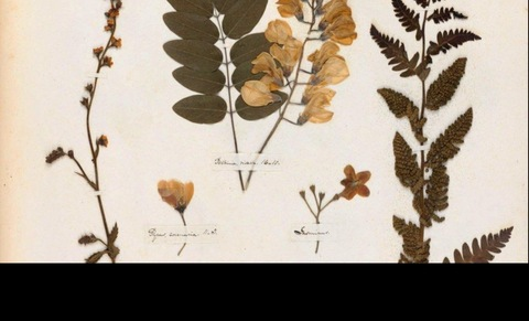 corpoinlotta @corpo_in_lotta cover picture