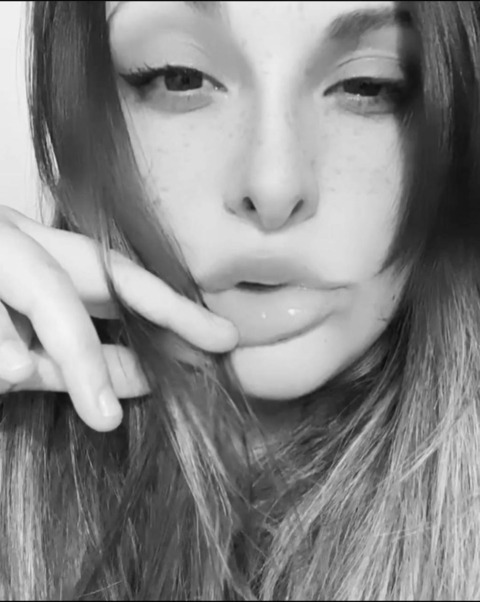 Dani @daanicaats cover picture