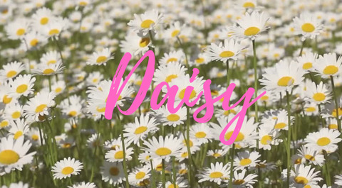 Daisy Knowles @daisyknowles cover picture