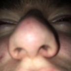 dakotafrfr OnlyFans Leaked 

 profile picture