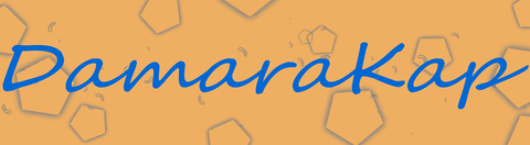 DamaraKap @damarakap cover picture