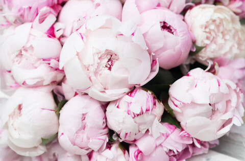 Darya @darya777 cover picture