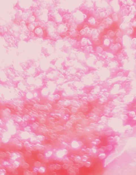 P @datassp cover picture