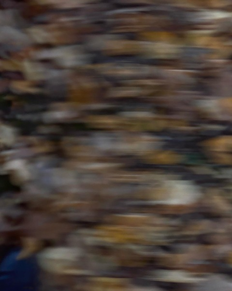 dawgitout @dawgitout cover picture
