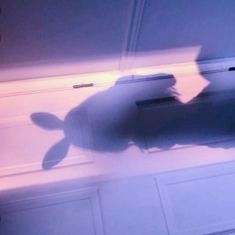Day ™ @daybunni cover picture