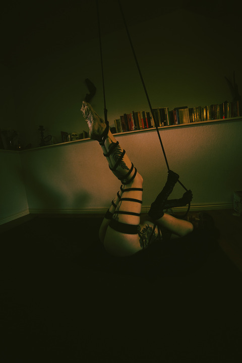 Deelight @deelight1 cover picture