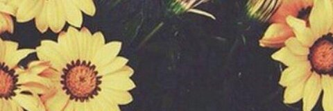 Kahra DeLeon @deleonkahra cover picture