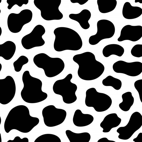 Delphina @delphinalecointre cover picture