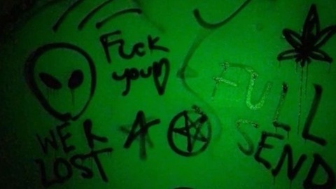 Bxnny @demxn.bxnny cover picture