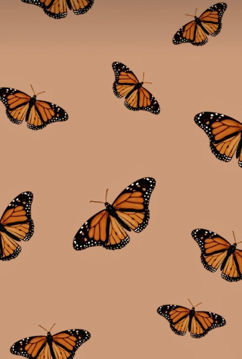 D 🦋 @desiraex3 cover picture