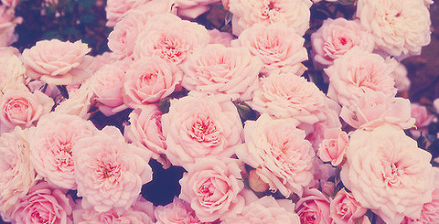 Destinybabyyy @destinymamiii cover picture