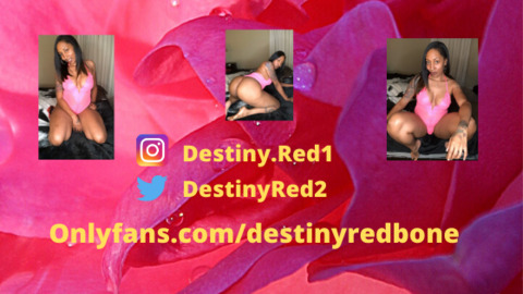 Destiny Red Free! @destinyredbonexxx cover picture