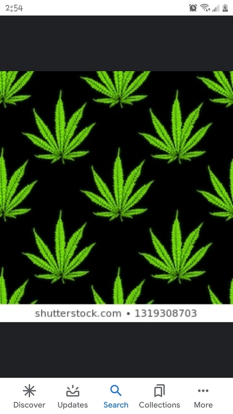 Dezzzi420 @dezzzi420 cover picture