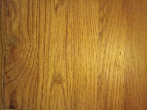 Dirty Dann @dirtydann93 cover picture
