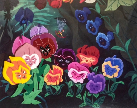 draculas.flower @draculasflower cover picture