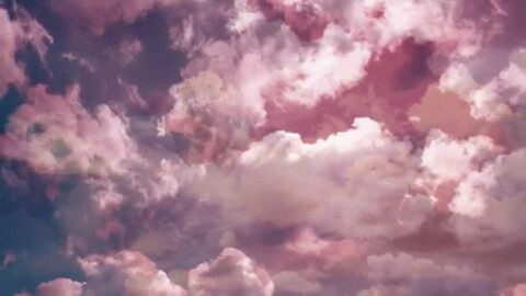 Freya 🕯 @duchessfreya cover picture