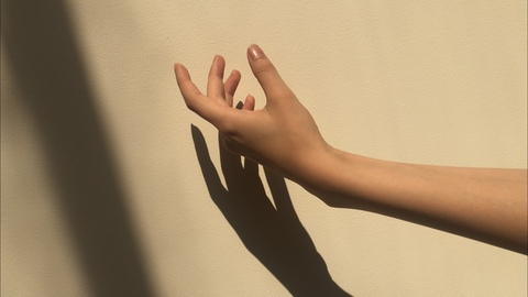 eebelttil @eebelttil cover picture