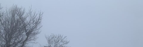 eli jang @elijang cover picture