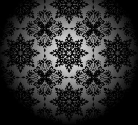 Elizabeth @elizabeth34 cover picture