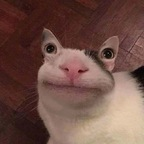 Onlyfans leaks emelyxo 

 profile picture
