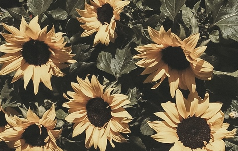 𝙼𝚒𝚔𝚔𝚒♡ @emkayy47 cover picture