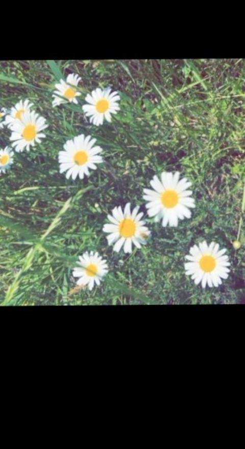 EmpressBee @empressbee_3 cover picture