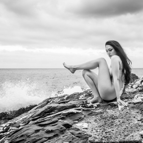 ergosia 💜 @ergosia cover picture